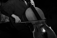 huschke_03